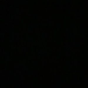 Meet your Posher, Will